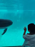 下田海中水族館に投稿された画像（2026/6/7）
