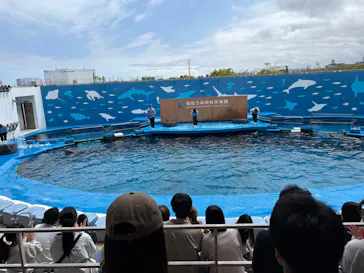 仙台うみの杜水族館に投稿された画像（2026/6/6）