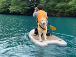 SUP STATION zizi（サップステーションジジ）に投稿された画像（2026/6/7）