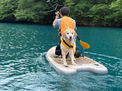 SUP STATION zizi（サップステーションジジ）に投稿された画像（2026/6/6）