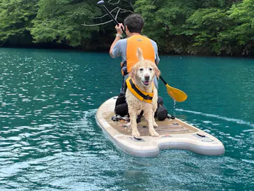SUP STATION zizi（サップステーションジジ）に投稿された画像（2026/6/6）