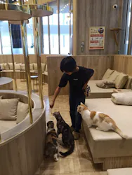 猫カフェモカ　イオンモール羽生店に投稿された画像（2026/6/6）