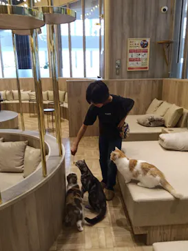 猫カフェモカ　イオンモール羽生店に投稿された画像（2026/6/6）