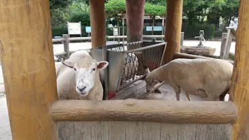 広島市安佐動物公園に投稿された画像（2026/6/6）