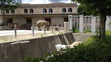 広島市安佐動物公園に投稿された画像（2026/6/6）