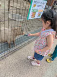 あらかわ遊園に投稿された画像（2026/6/7）