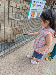 あらかわ遊園に投稿された画像（2026/6/7）