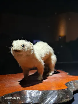 特別展「超危険生物展　科学で挑む生き物の本気」に投稿された画像（2026/6/7）