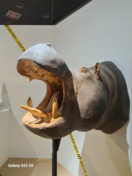 特別展「超危険生物展　科学で挑む生き物の本気」に投稿された画像（2026/6/7）