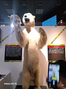 特別展「超危険生物展　科学で挑む生き物の本気」に投稿された画像（2026/6/7）
