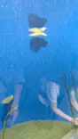 葛西臨海水族園に投稿された画像（2026/6/7）