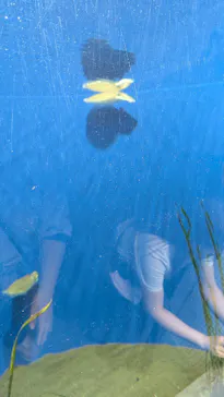 葛西臨海水族園に投稿された画像（2026/6/7）