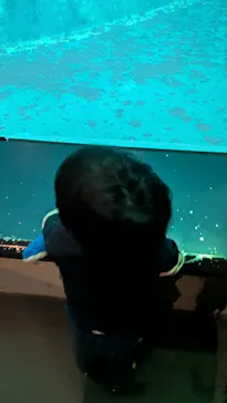 葛西臨海水族園に投稿された画像（2026/6/7）