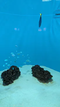 葛西臨海水族園に投稿された画像（2026/6/7）