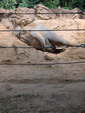 恩賜上野動物園に投稿された画像（2026/6/7）