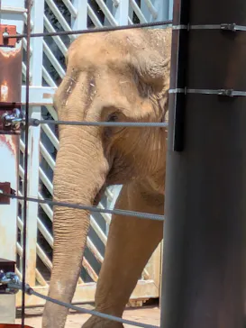 恩賜上野動物園に投稿された画像（2026/6/7）