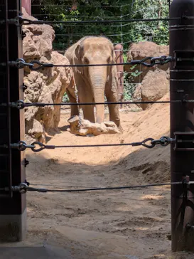 恩賜上野動物園に投稿された画像（2026/6/7）