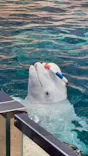 名古屋港水族館に投稿された画像（2026/6/7）