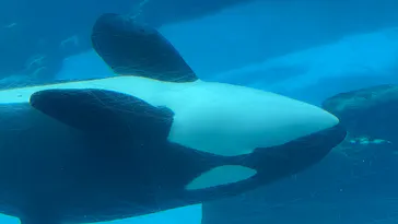 名古屋港水族館に投稿された画像（2026/6/7）