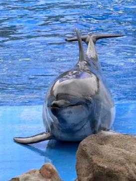 名古屋港水族館に投稿された画像（2026/6/7）