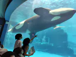 名古屋港水族館に投稿された画像（2026/6/7）