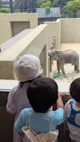 天王寺動物園に投稿された画像（2026/6/7）