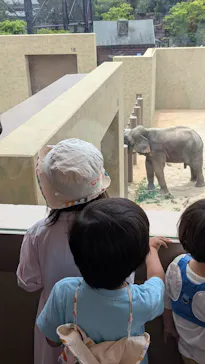 天王寺動物園に投稿された画像（2026/6/7）