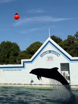 しながわ水族館に投稿された画像（2026/6/7）