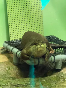 しながわ水族館に投稿された画像（2026/6/7）