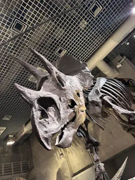 国立科学博物館に投稿された画像（2026/6/7）