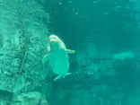 名古屋港水族館に投稿された画像（2026/6/7）