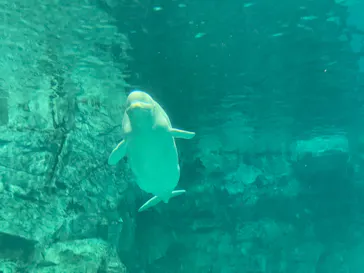 名古屋港水族館に投稿された画像（2026/6/7）