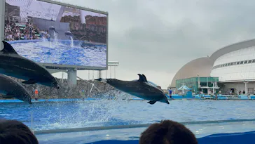 名古屋港水族館に投稿された画像（2026/6/7）
