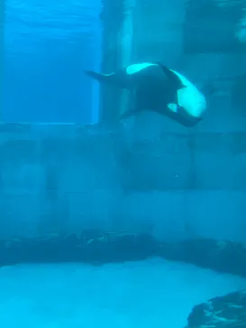 名古屋港水族館に投稿された画像（2026/6/7）