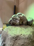 こども動物自然公園（埼玉県公園緑地協会）に投稿された画像（2026/6/7）