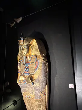 MYSTERY OF TUTANKHAMEN 体感型古代エジプト展に投稿された画像（2026/6/7）