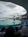 鴨川シーワールドに投稿された画像（2026/6/7）