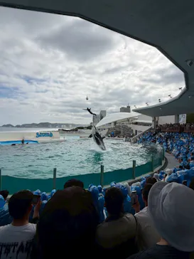 鴨川シーワールドに投稿された画像（2026/6/7）