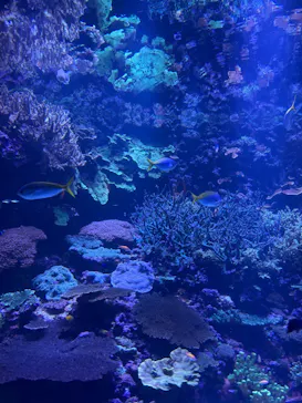 大分マリーンパレス水族館 「うみたまご」に投稿された画像（2026/6/7）