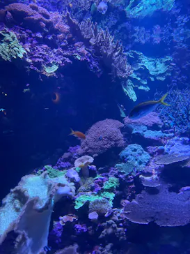 大分マリーンパレス水族館 「うみたまご」に投稿された画像（2026/6/7）