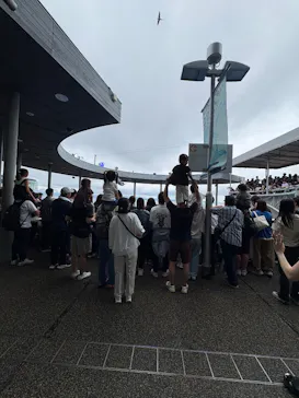 大分マリーンパレス水族館 「うみたまご」に投稿された画像（2026/6/7）