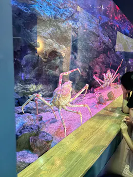 大分マリーンパレス水族館 「うみたまご」に投稿された画像（2026/6/7）