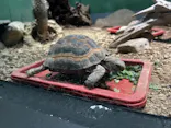 サンシャイン水族館に投稿された画像（2026/6/7）