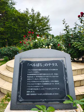 京成バラ園に投稿された画像（2026/6/7）