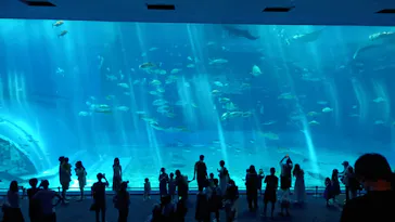 沖縄美ら海水族館に投稿された画像（2026/6/7）