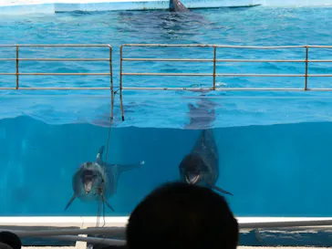 沖縄美ら海水族館に投稿された画像（2026/6/7）