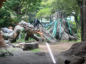 恩賜上野動物園に投稿された画像（2026/6/7）