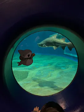 アクアワールド茨城県大洗水族館に投稿された画像（2026/6/7）