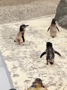 葛西臨海水族園に投稿された画像（2026/6/7）
