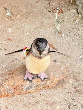 葛西臨海水族園に投稿された画像（2026/6/7）